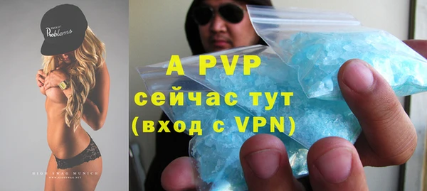 ECSTASY Белокуриха