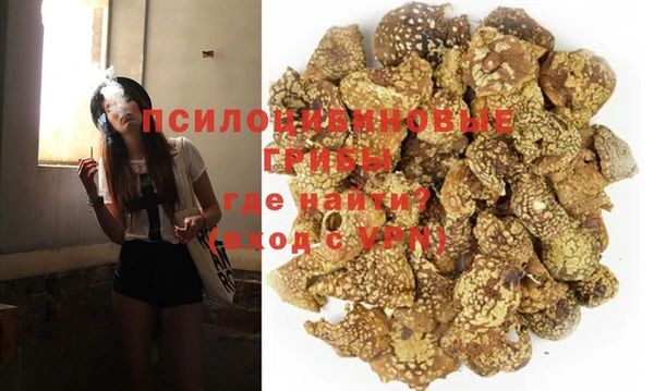 ECSTASY Белокуриха
