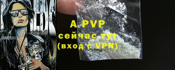 ECSTASY Белокуриха