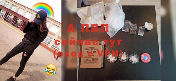 ECSTASY Белокуриха