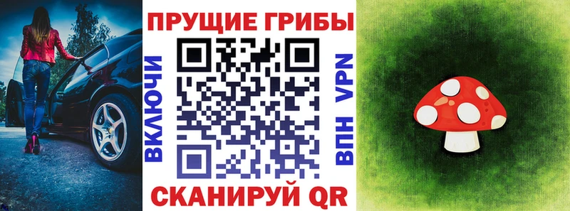 дарк нет формула  магазин продажи   Верхоянск  Галлюциногенные грибы прущие грибы 